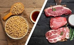 Chicken Vs Soya Chunks